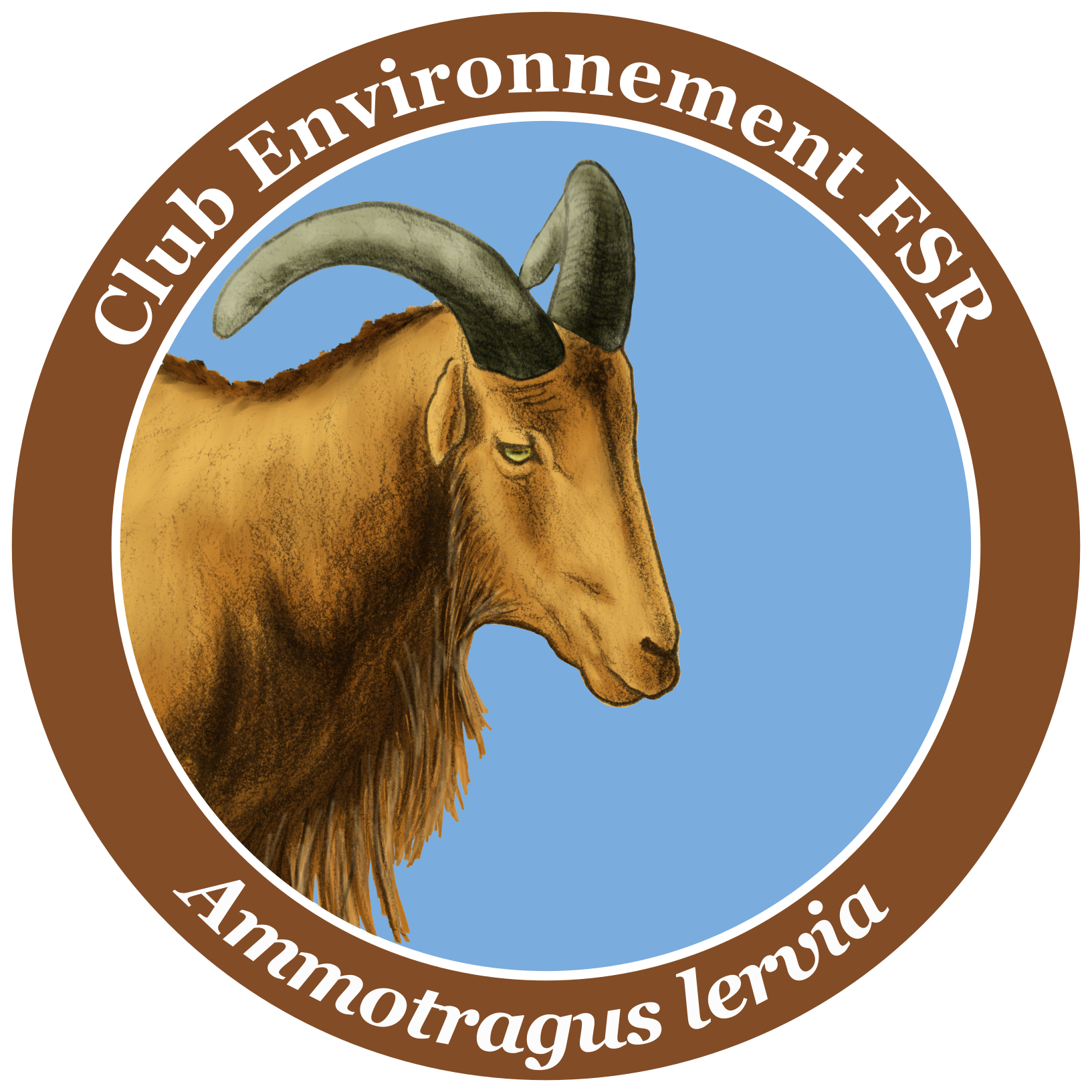 Aoudad Barbary Sheep illustrated poster