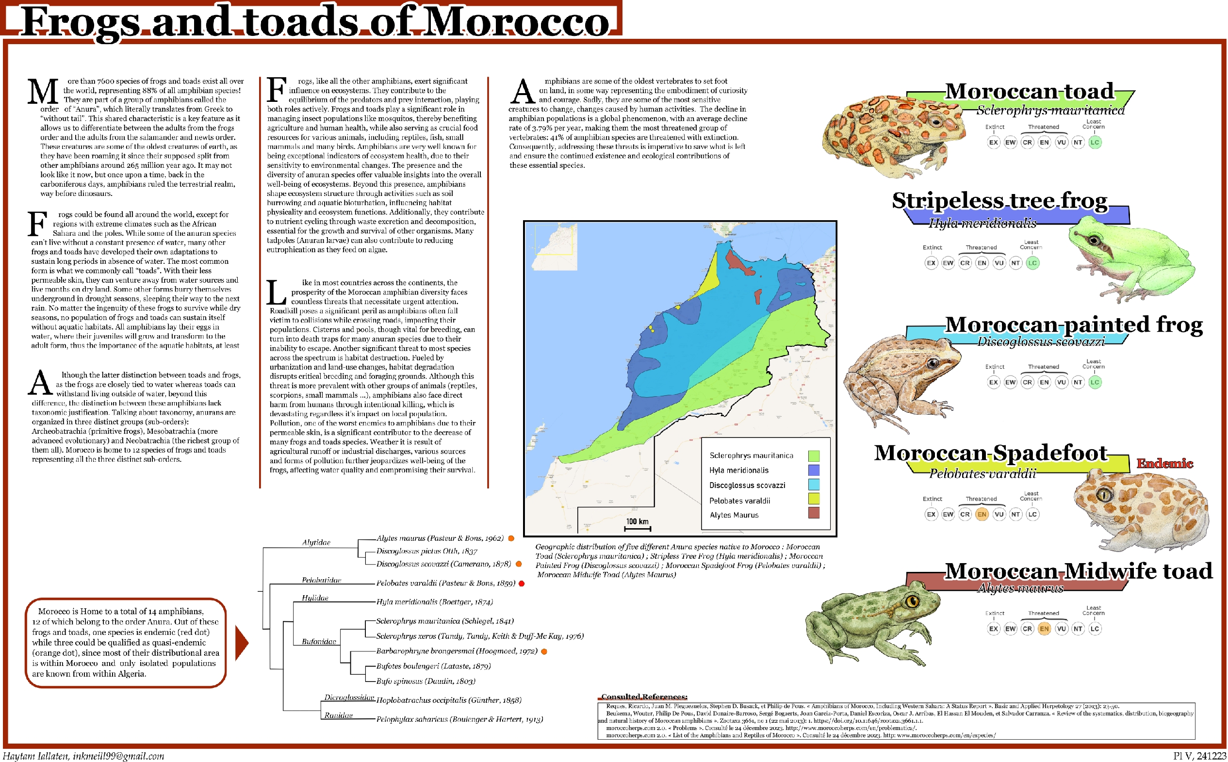 Frogs and Toads of Morocco illustrated guide