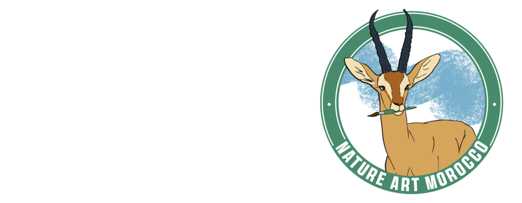 Nature Art Morocco logo