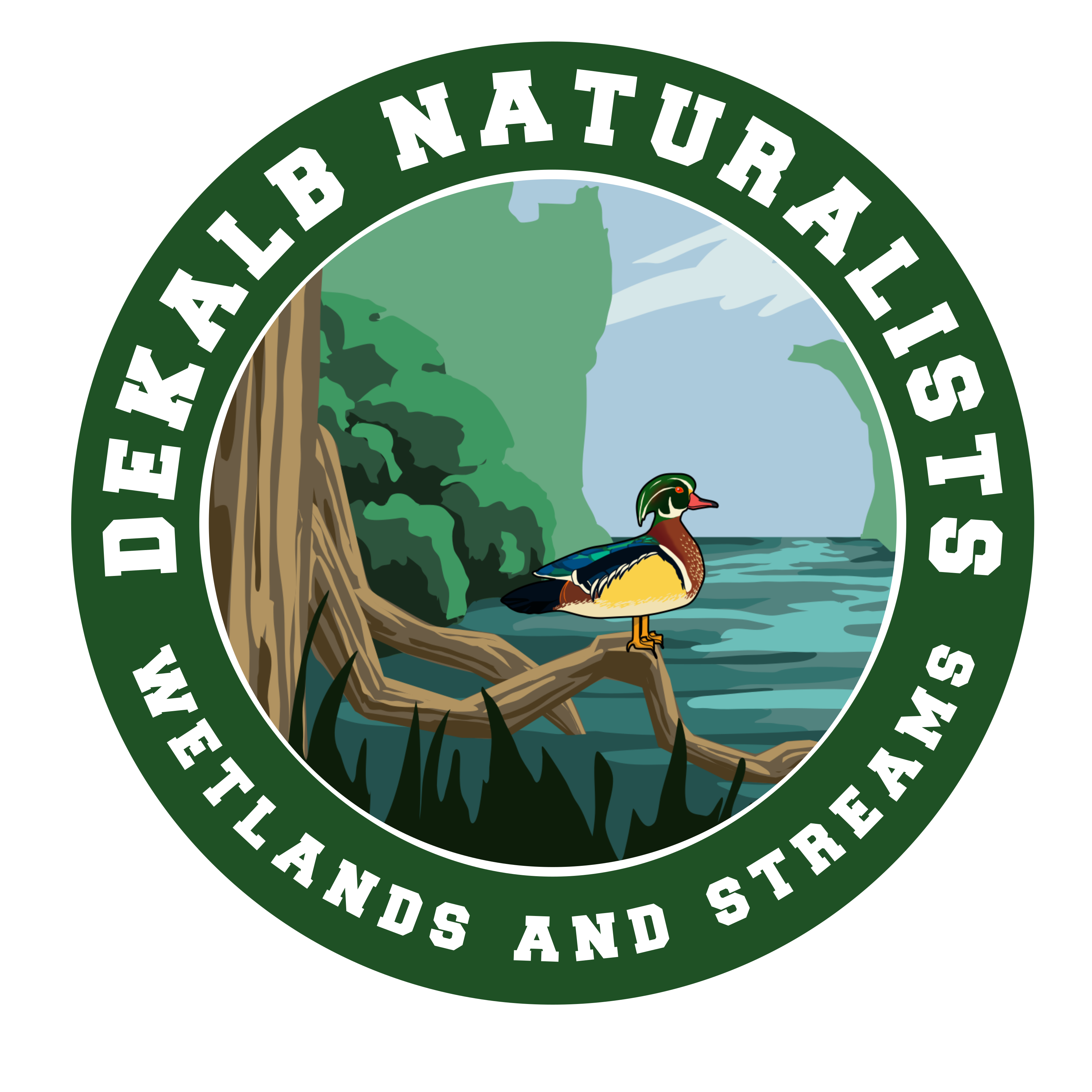 Streams and wetlands illustrated panel