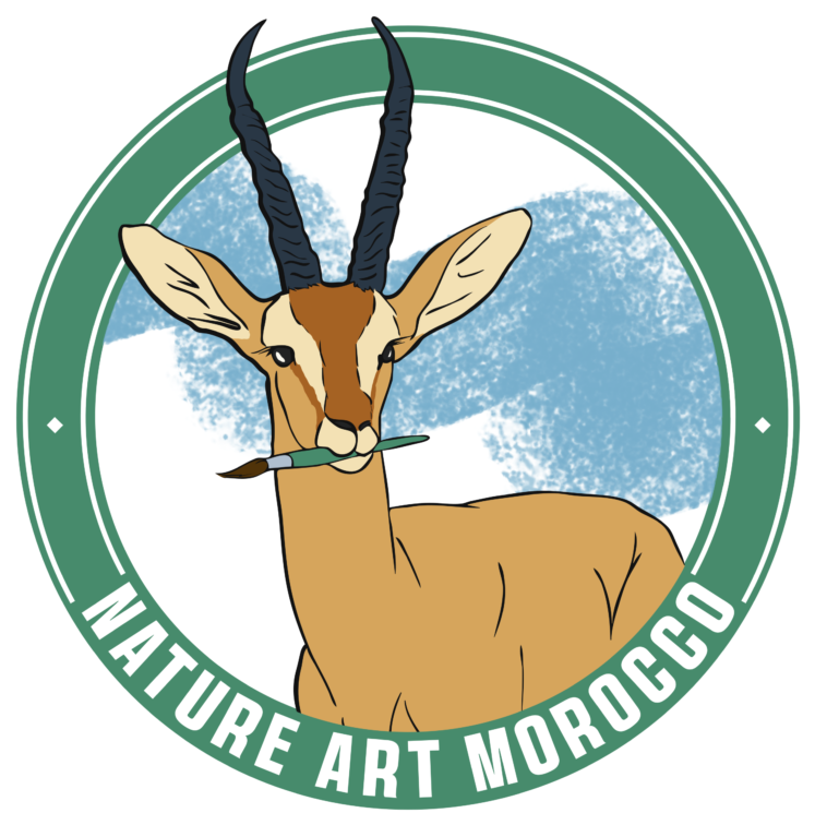 Nature Art Morocco logo