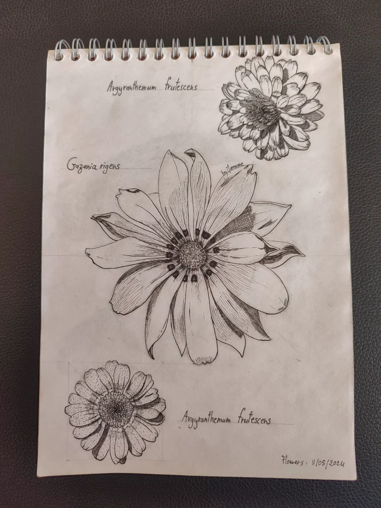 botanical_drawing_ink