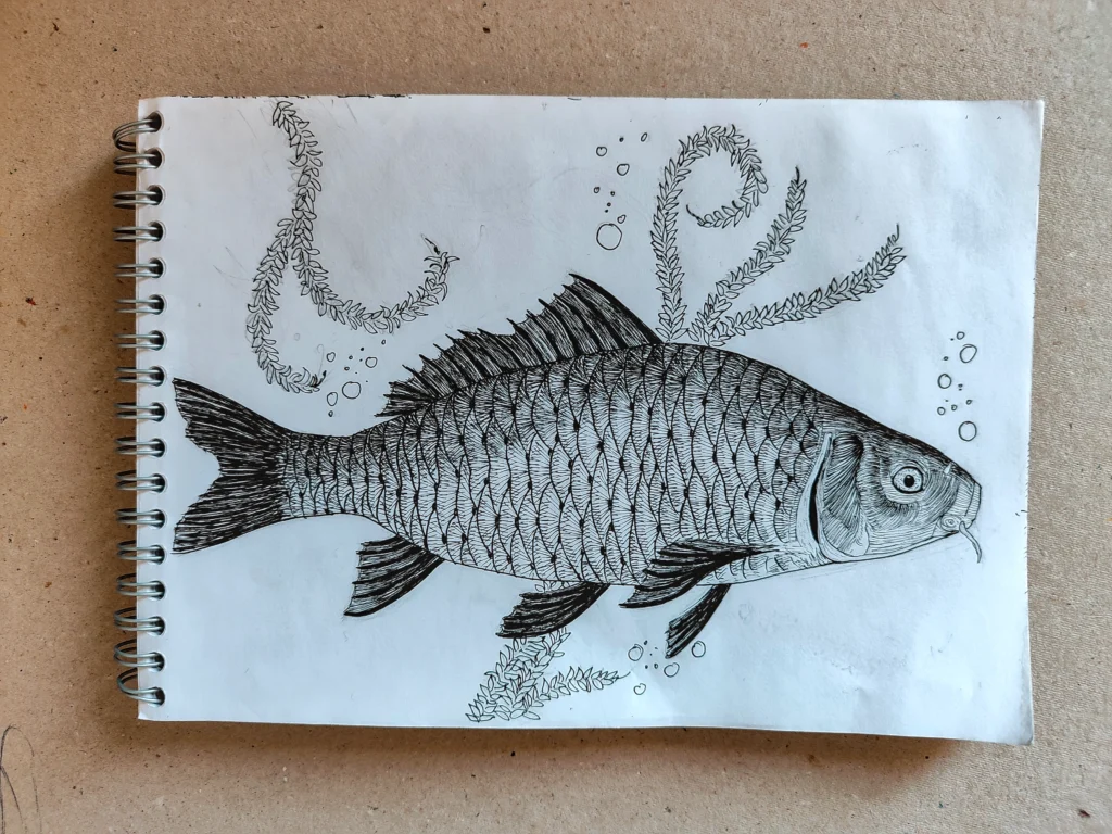 carp_drawing_ink