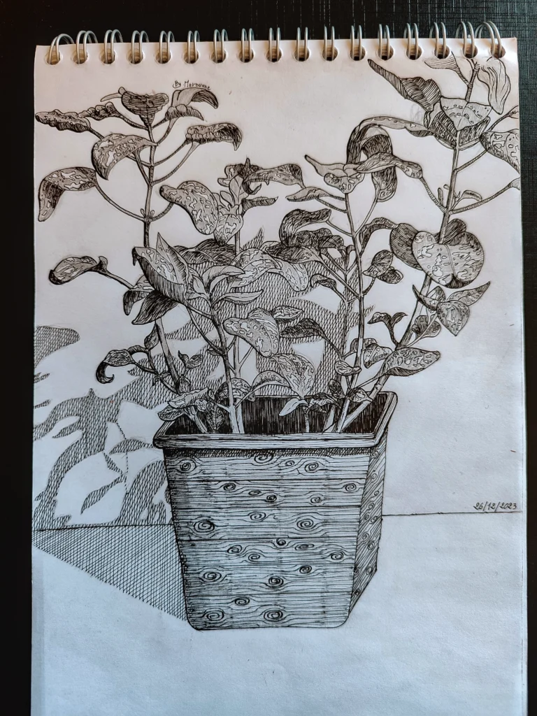 pot_ink_drawing