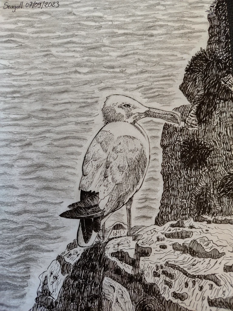 seagull_ink